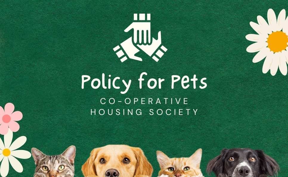 Policy of Cooperative Apartment