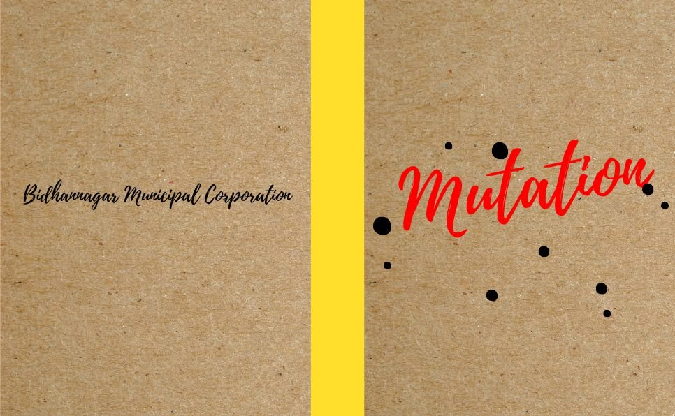 Affidavit for Mutation